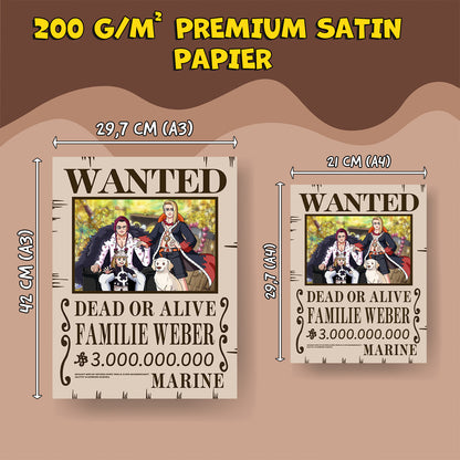 One Piece Wanted Style